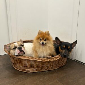 náhledový obrázek kurzu