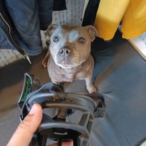 náhledový obrázek kurzu