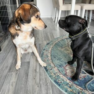 náhledový obrázek kurzu