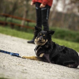 náhledový obrázek kurzu