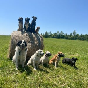 náhledový obrázek kurzu