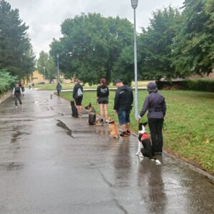 náhledový obrázek kurzu