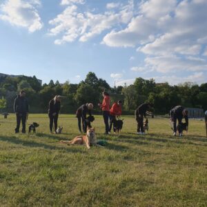 náhledový obrázek kurzu